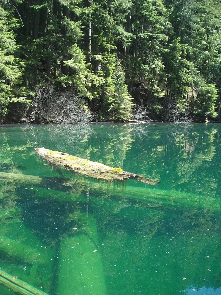 Carbon River Hiking at Mt Rainier National Park 2traveldads.com