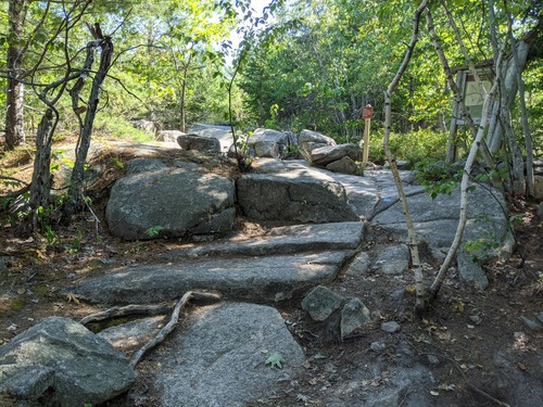 Map and information signs in a forested area
