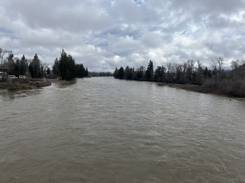 Snake River at Moose, WY looking upstream, May 14, 2024.