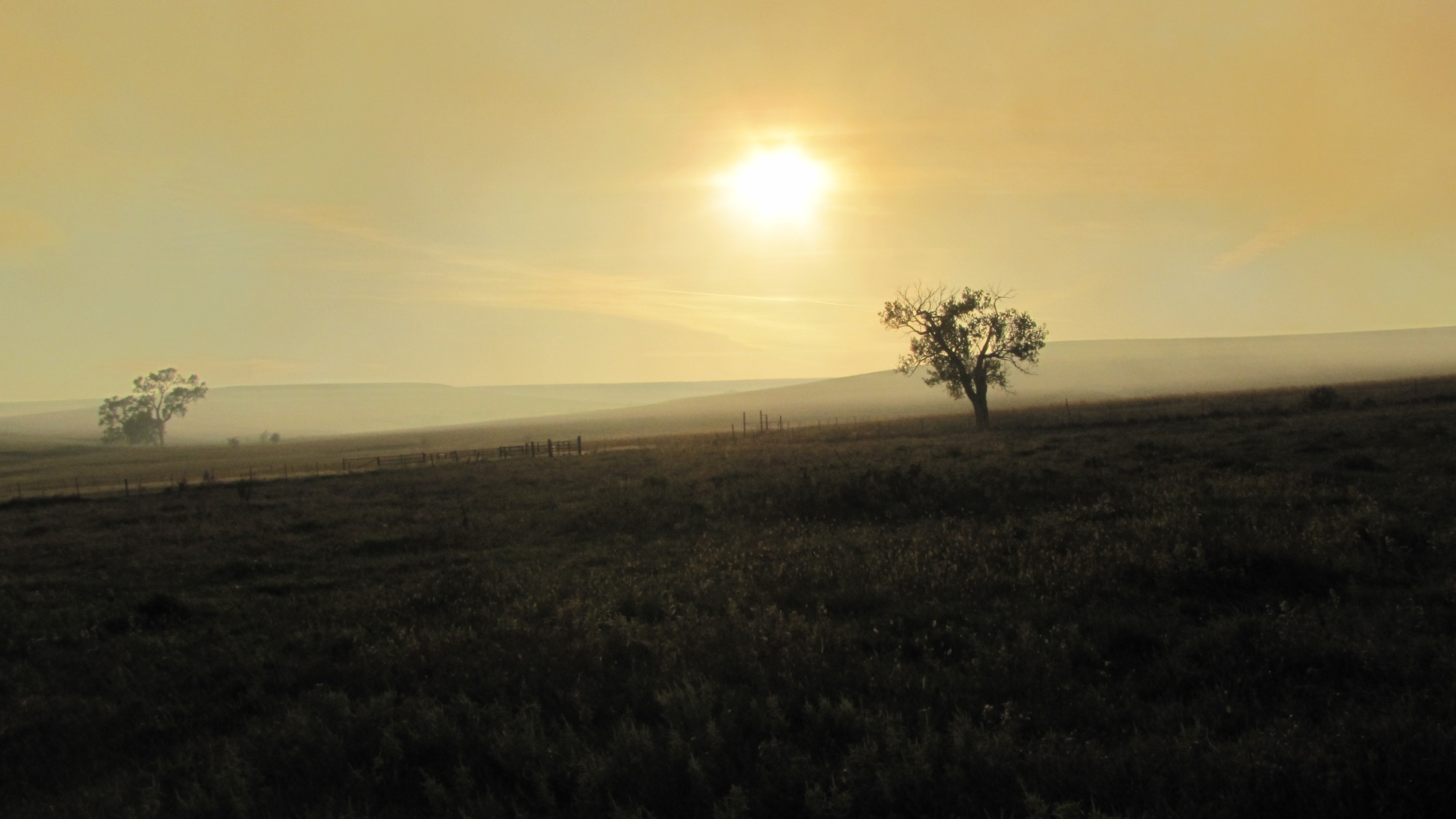Sun shines through smoky, yellow air upon a dark landscape.