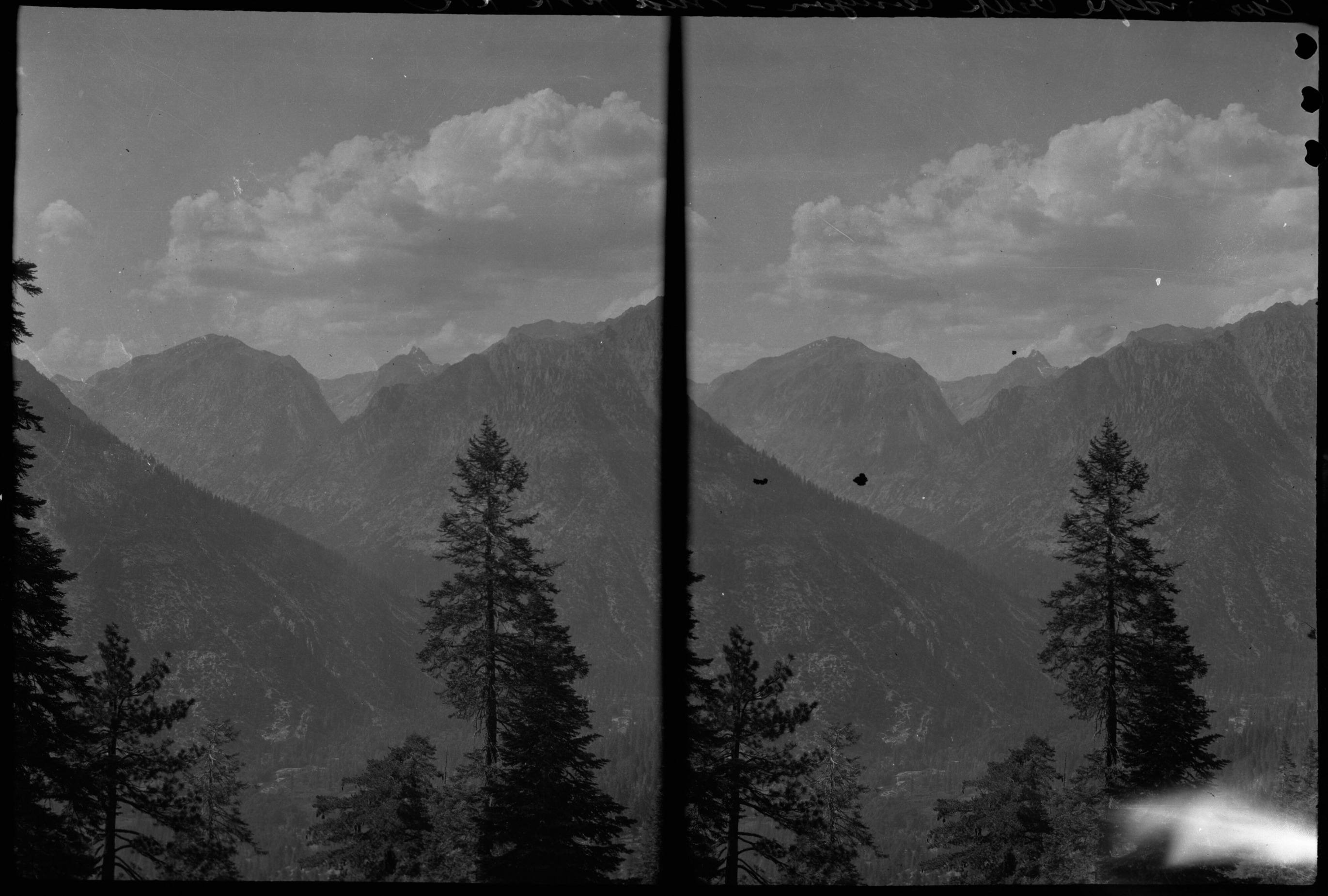 SEKI Roberts Collection Series: 2 Negatives; 15 Stereographs