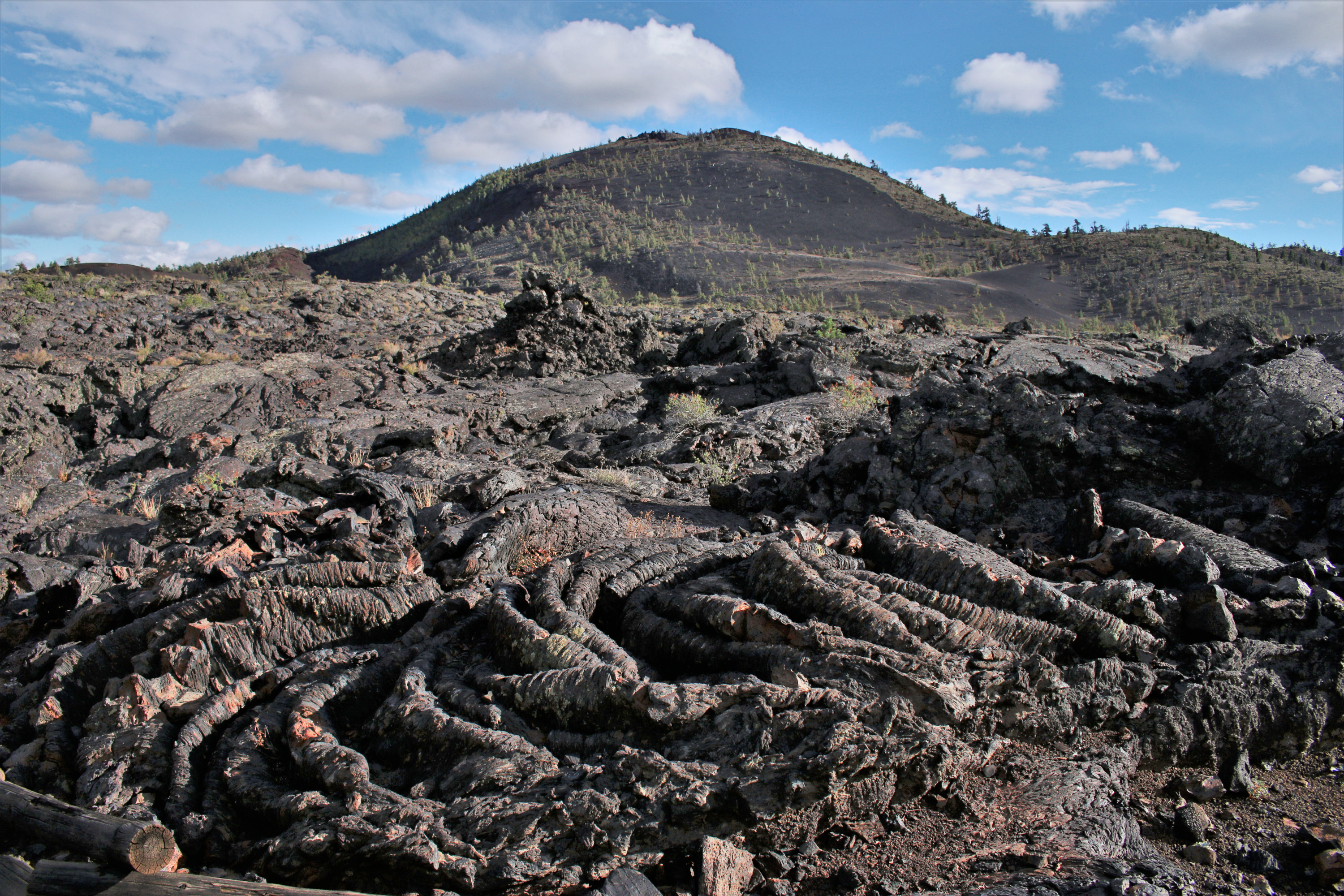 black rocks with thick wrinkly folds in front of a large cinder cone