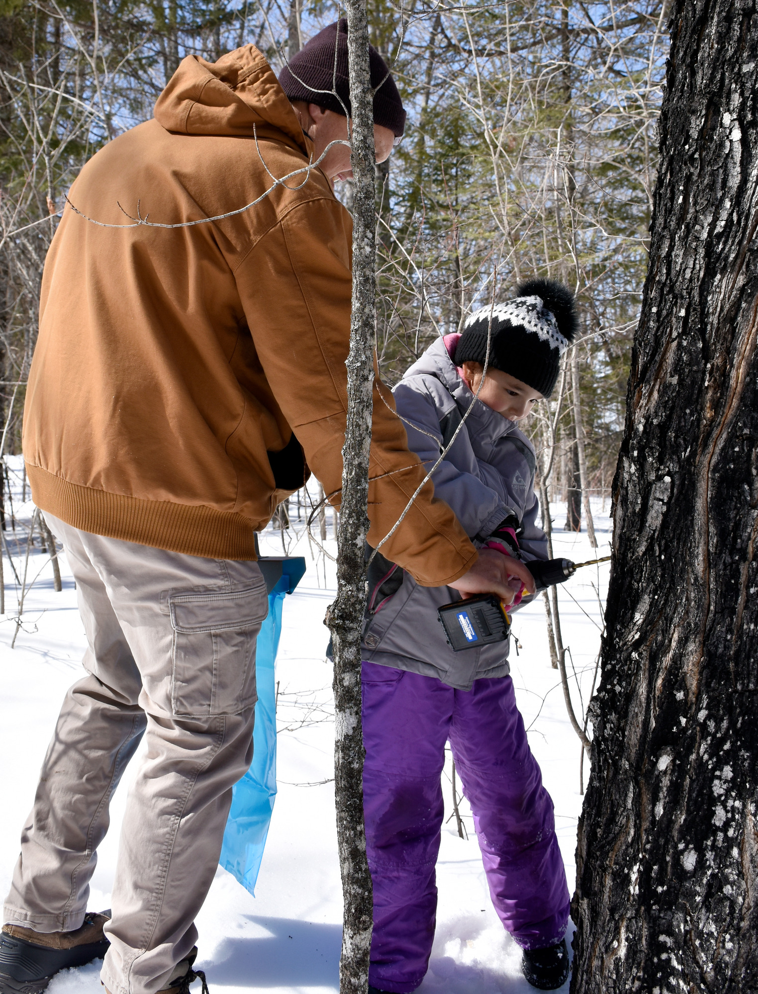 An adult helps hold a drill for a child to make a hole in a tree trunk.