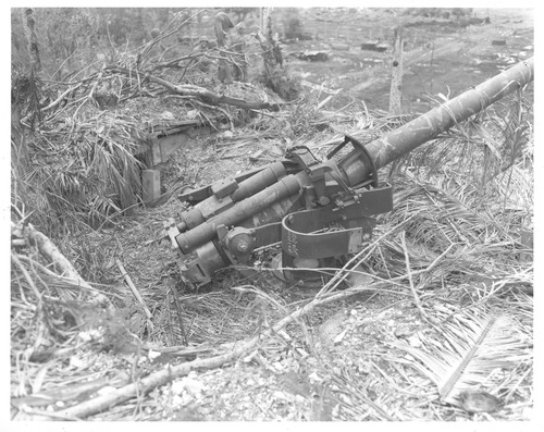 Large gun sitting on a ridge overlooking a badly bombed area. 
