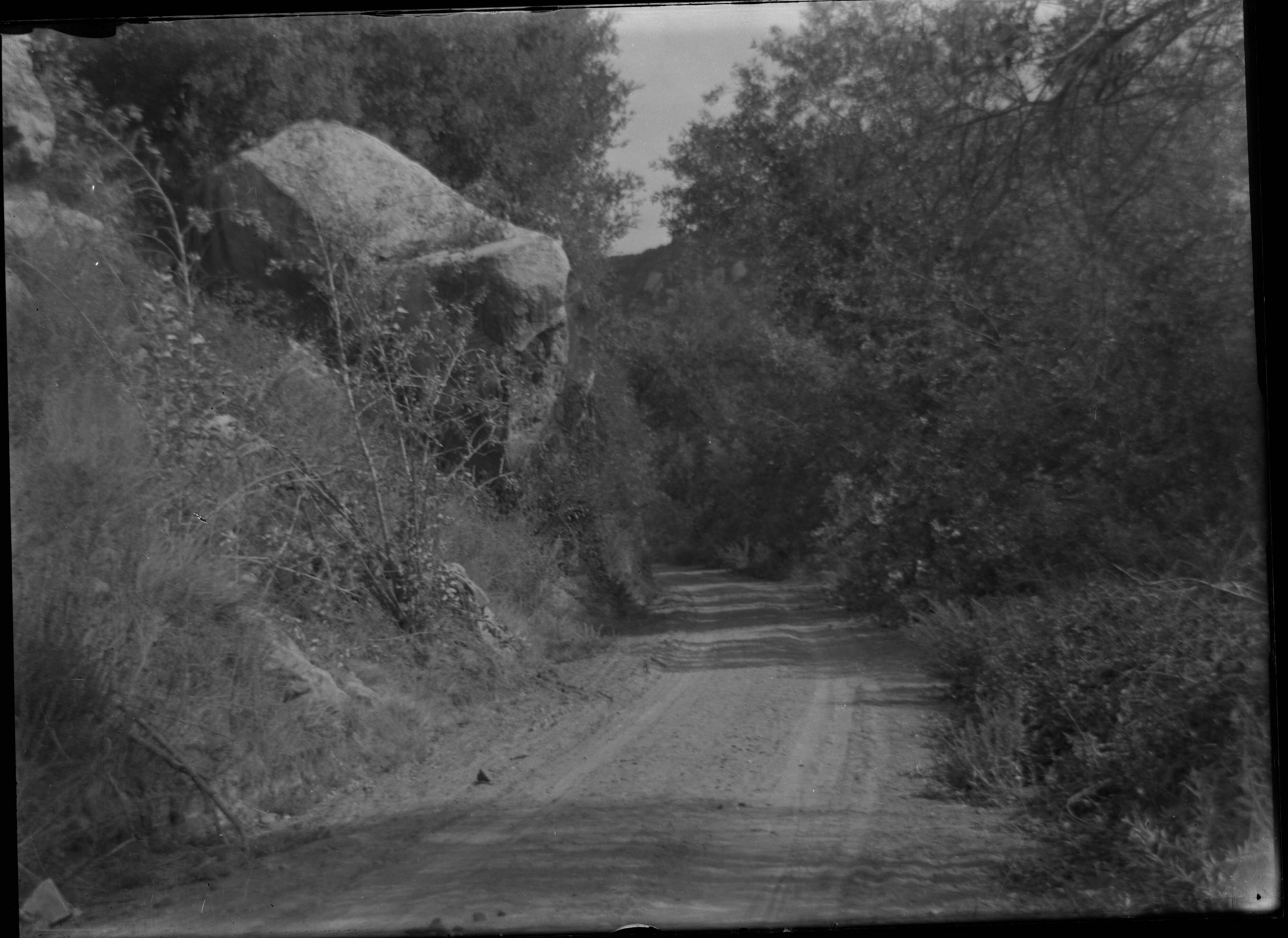 SEKI Roberts Collection Series: 1 Glass Plates; 1 Small glass plates; 14 Sites and Structures