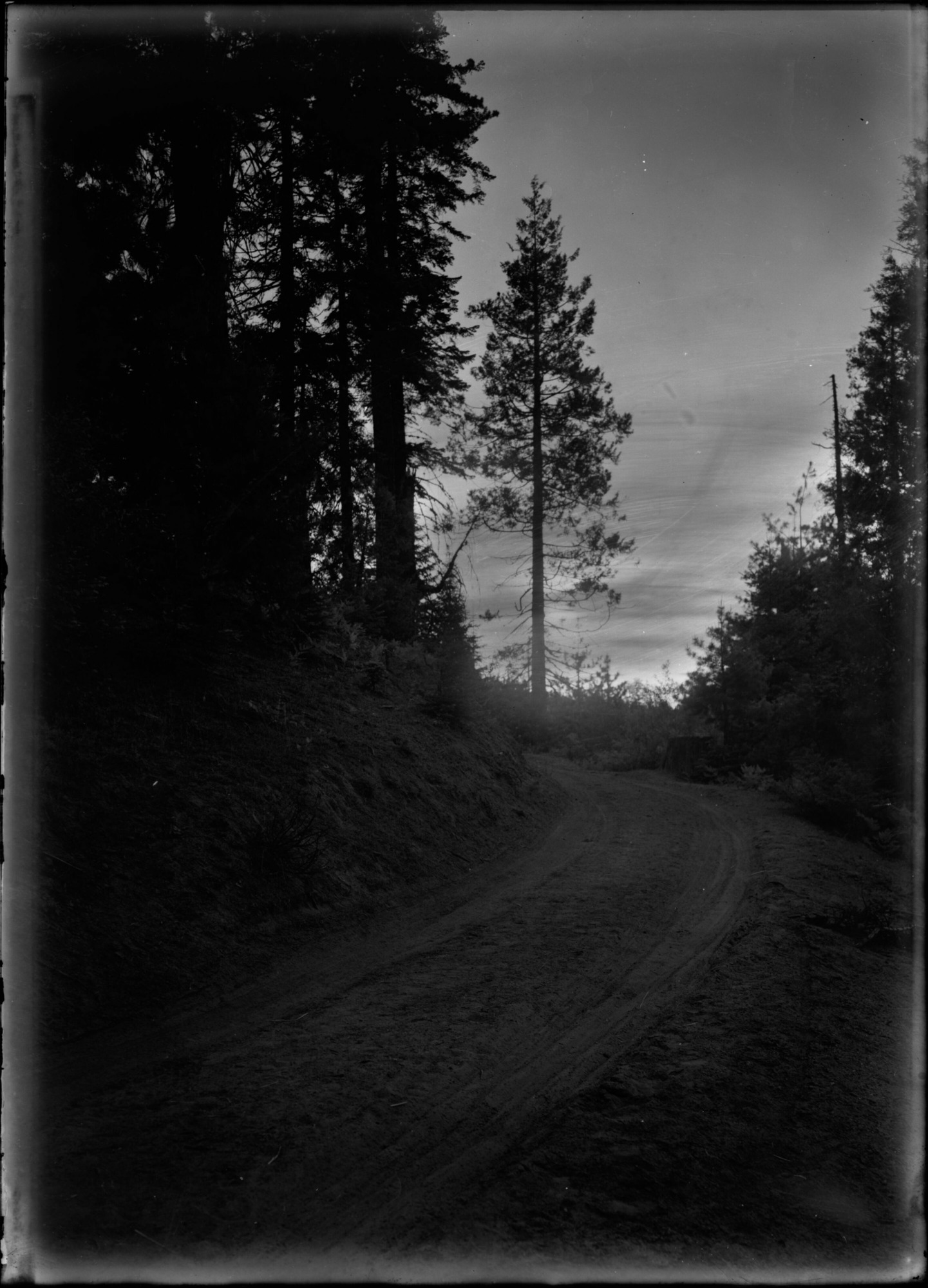 SEKI Roberts Collection Series: 1 Glass Plates; 1 Small glass plates; 14 Sites and Structures