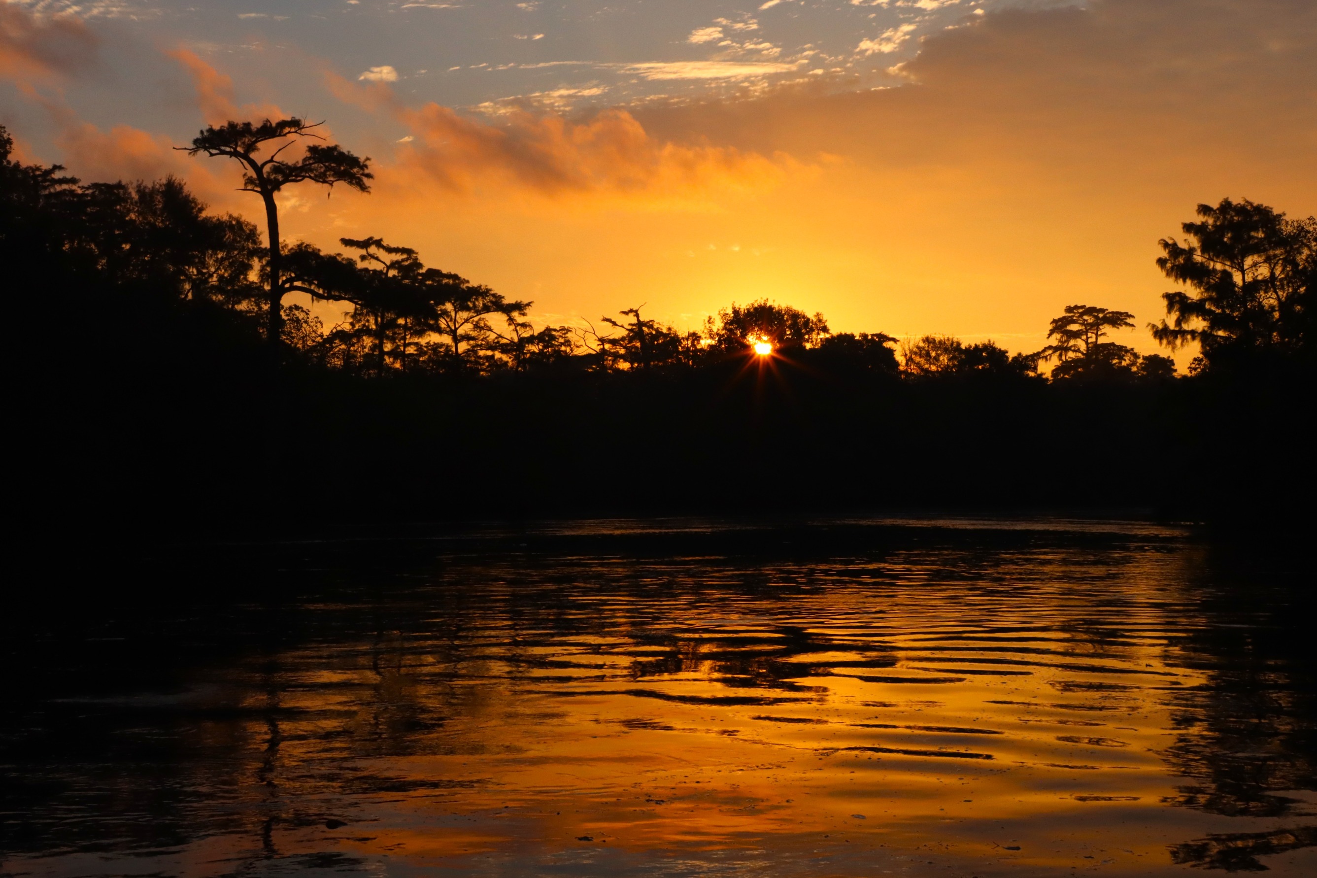 A golden sunrise as the Sun pokes through a silhouette of trees against a orange-yellow clouds, reflected in gentle ripples of the water.