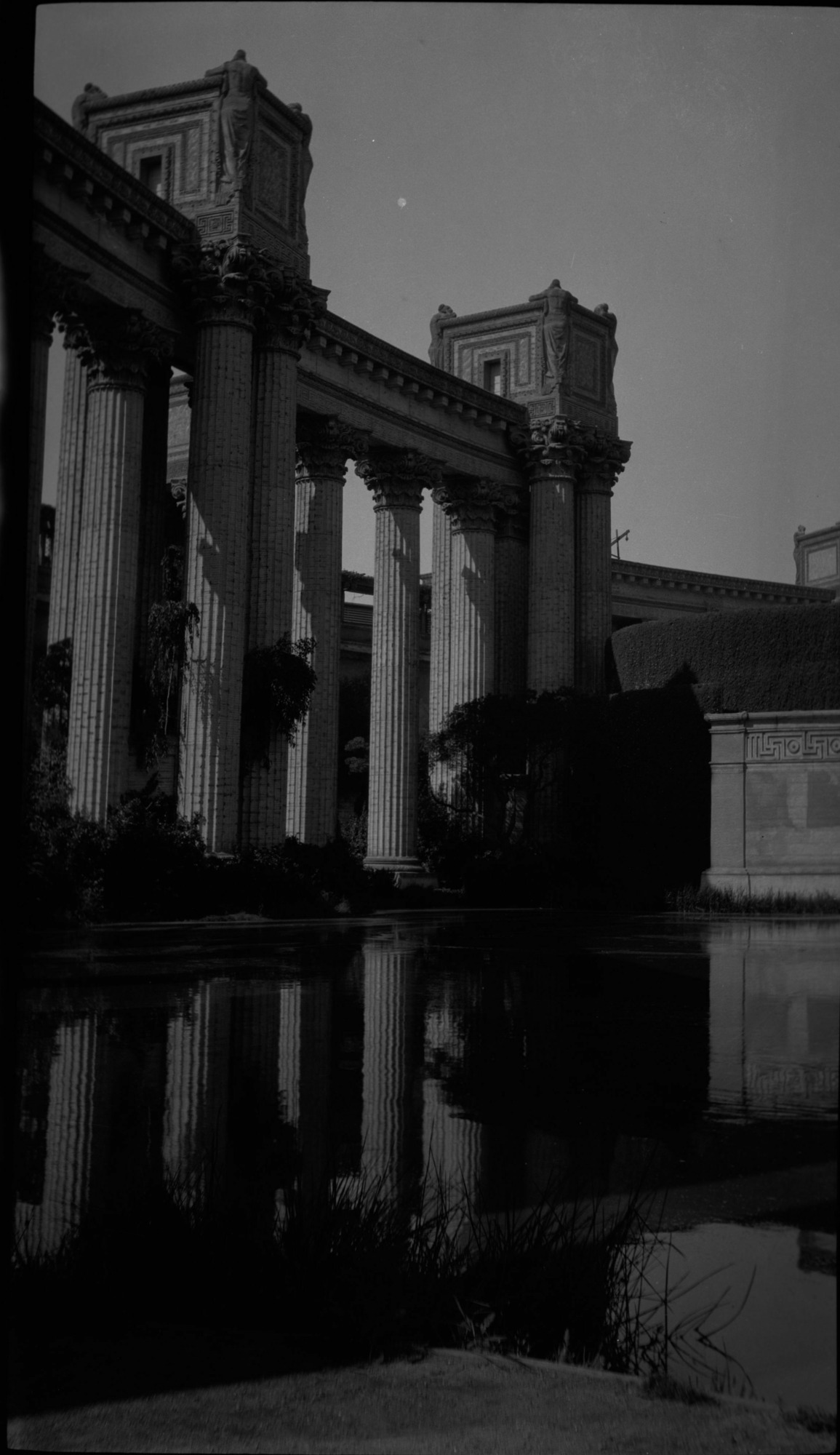 SEKI Roberts Collection Series: 2 Negatives; 10 Outside of the Park