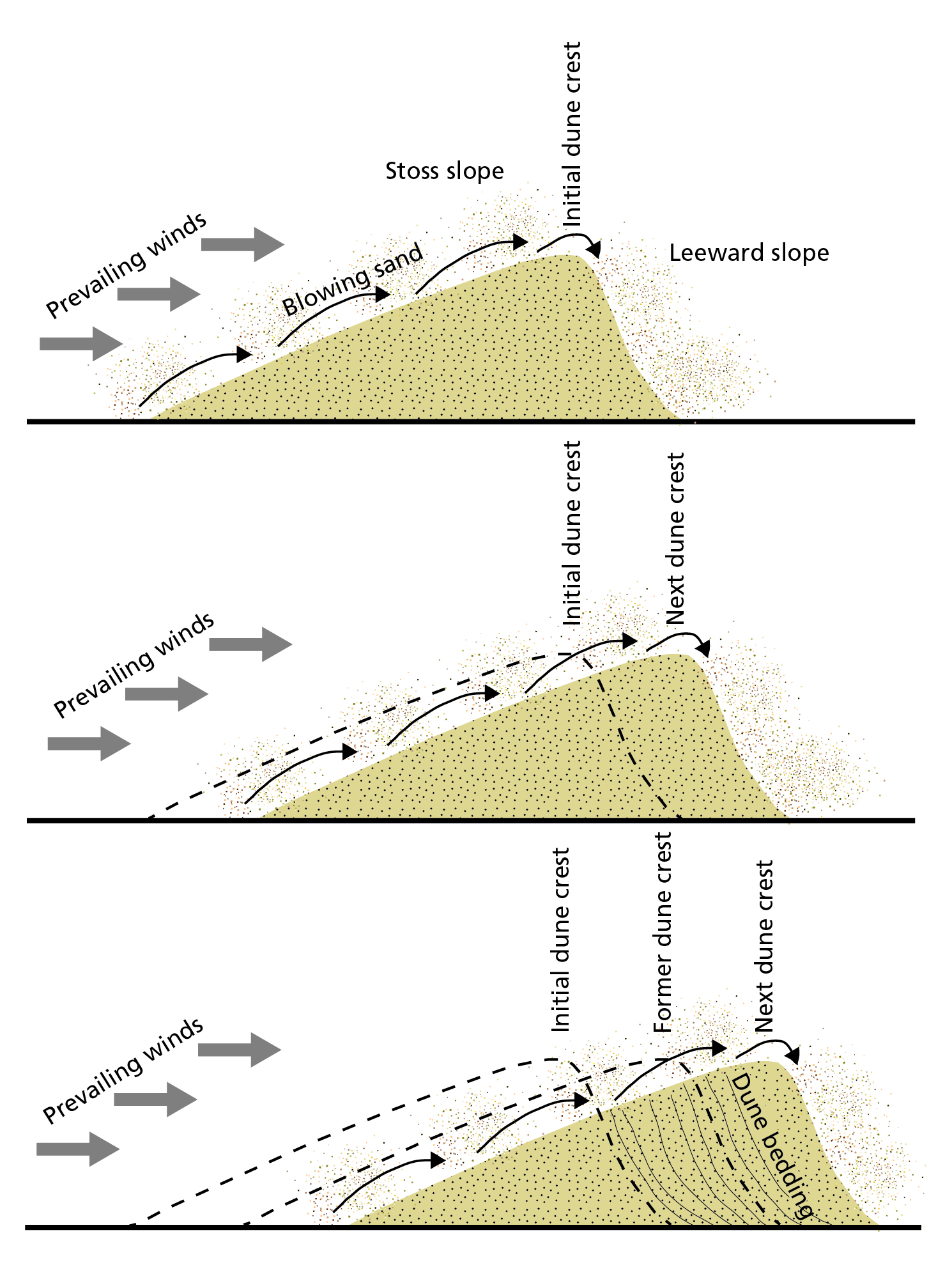 Dune Salation