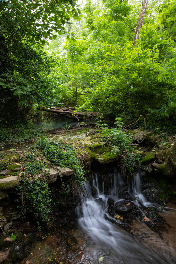 Photo of water flowing down Winton Spring Branch, which look like a creek. Lots of greenery in back ground of photo. 