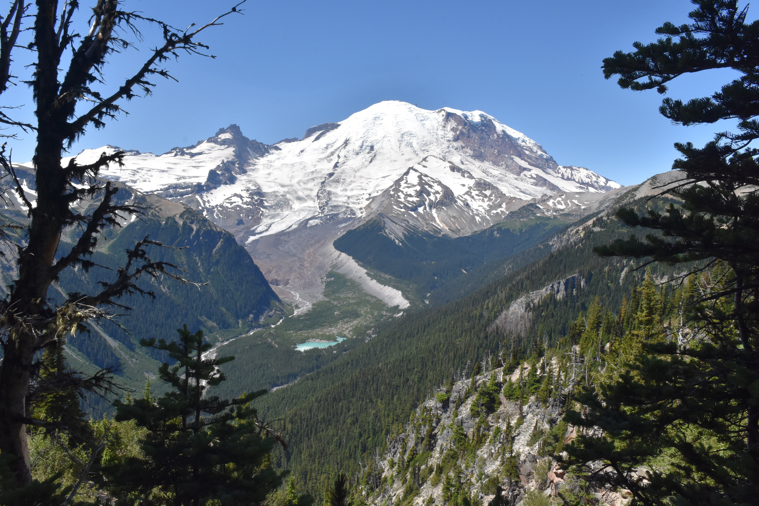 A glaciated mountain peak with a large glacier curving down into a wide forested river valley. 