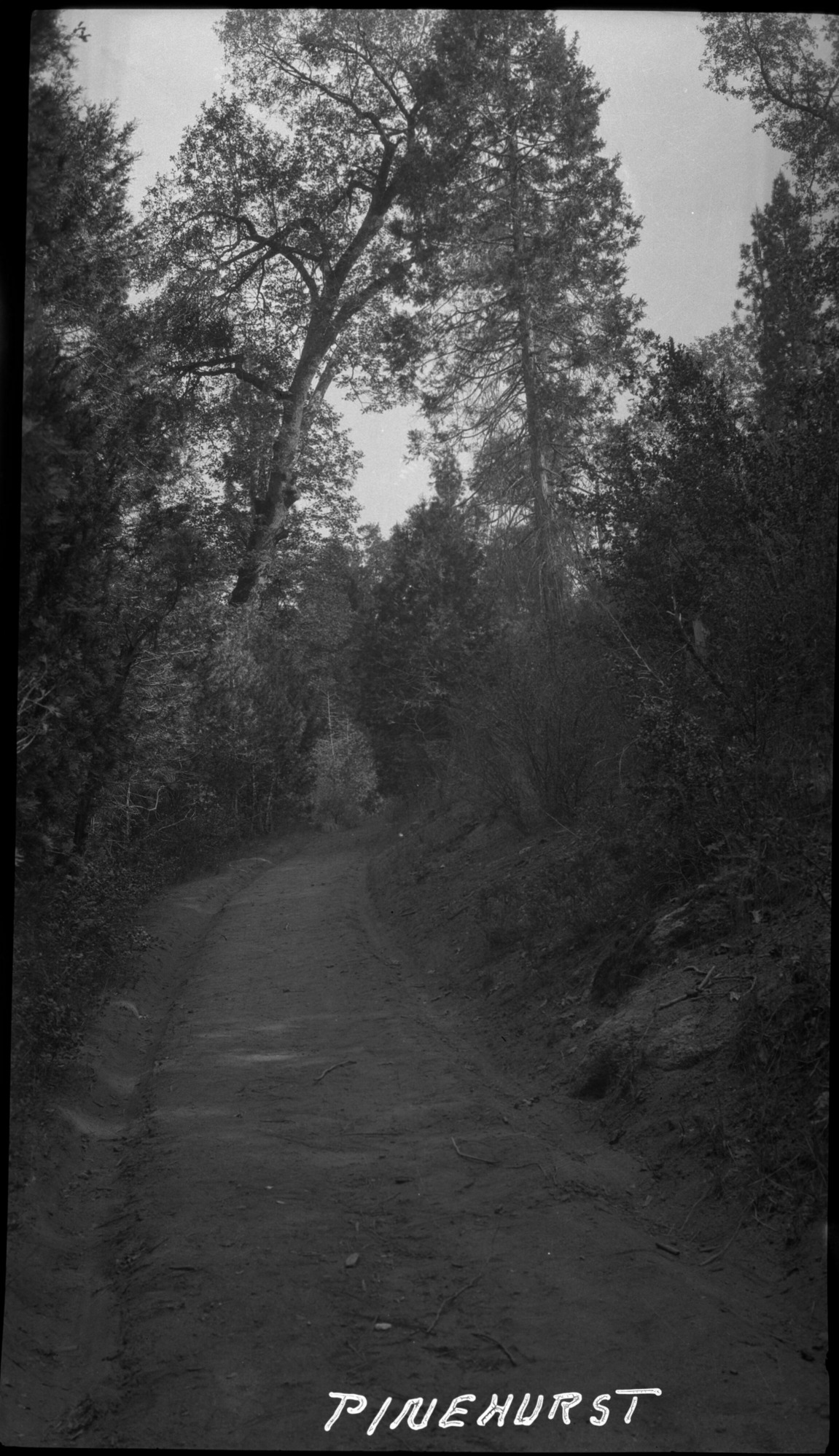 SEKI Roberts Collection Series: 2 Negatives; 14 Sites and Structures