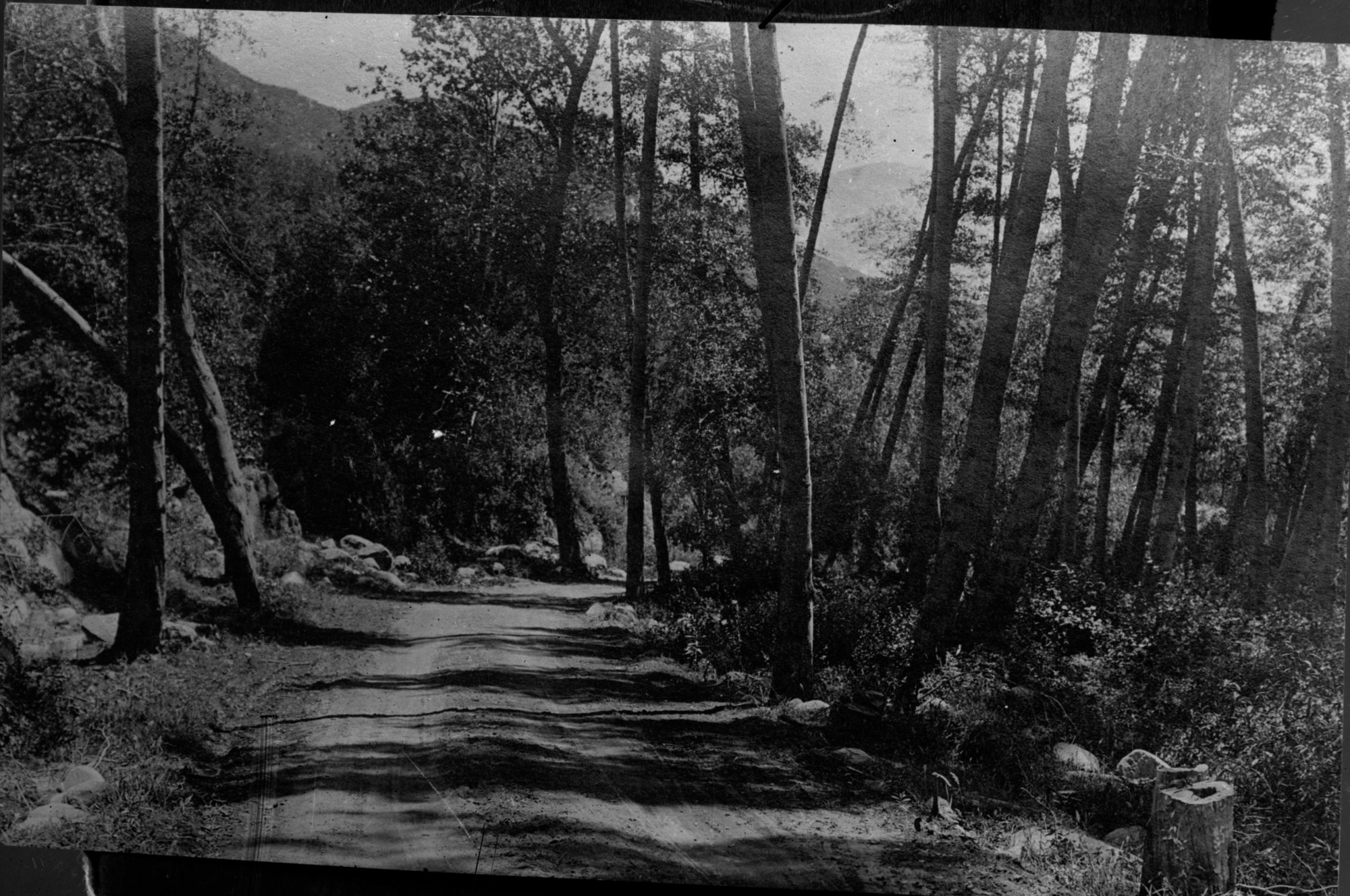 SEKI Roberts Collection Series: 1 Glass Plates; 1 Small glass plates; 14 Sites and Structures