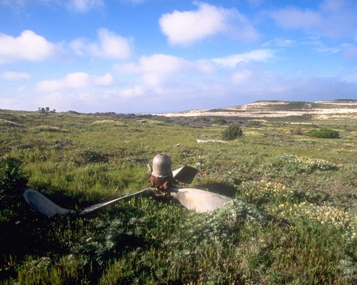 A B-24 bomber flying blind on a heading for Point Conception struck Green Mountain in 1943. Some of the wreckage is still visible.