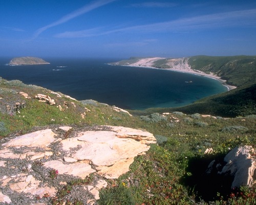 Prince Island, a 40-acre island located within Cuyler Harbor, is the densest sea bird colony in southern California, with 11 different breeding species.