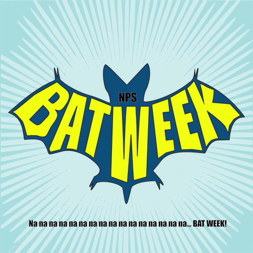 Bat Week
