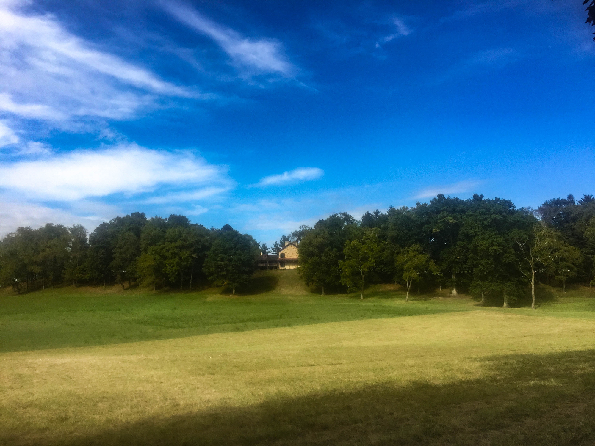 House on the top of a grass hill with trees
