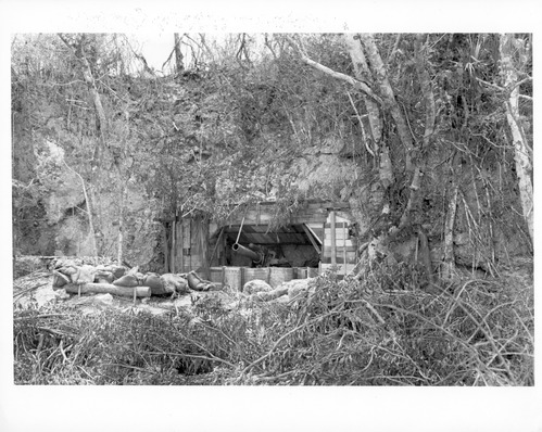 A large gun pokes out of a wooden bunker build into the side of a cliff.