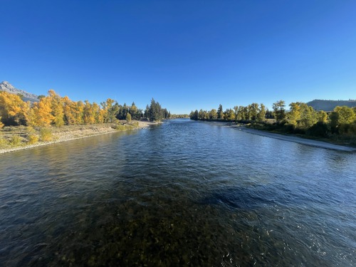 Snake River at Moose, WY looking upstream, September 24, 2024.
