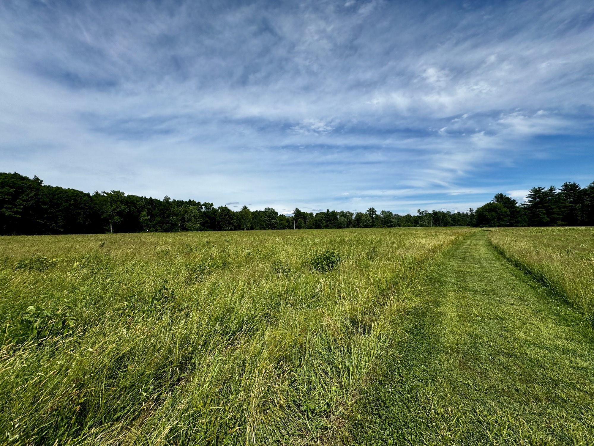 Open Remnant Grassland at Stop #6 in Saratoga National Historical Park