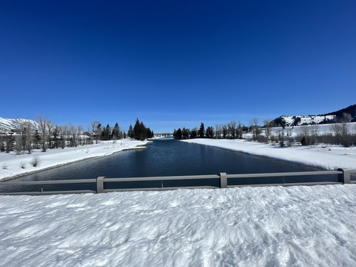 Snake River at Moose, WY looking upstream, March 19, 2024.