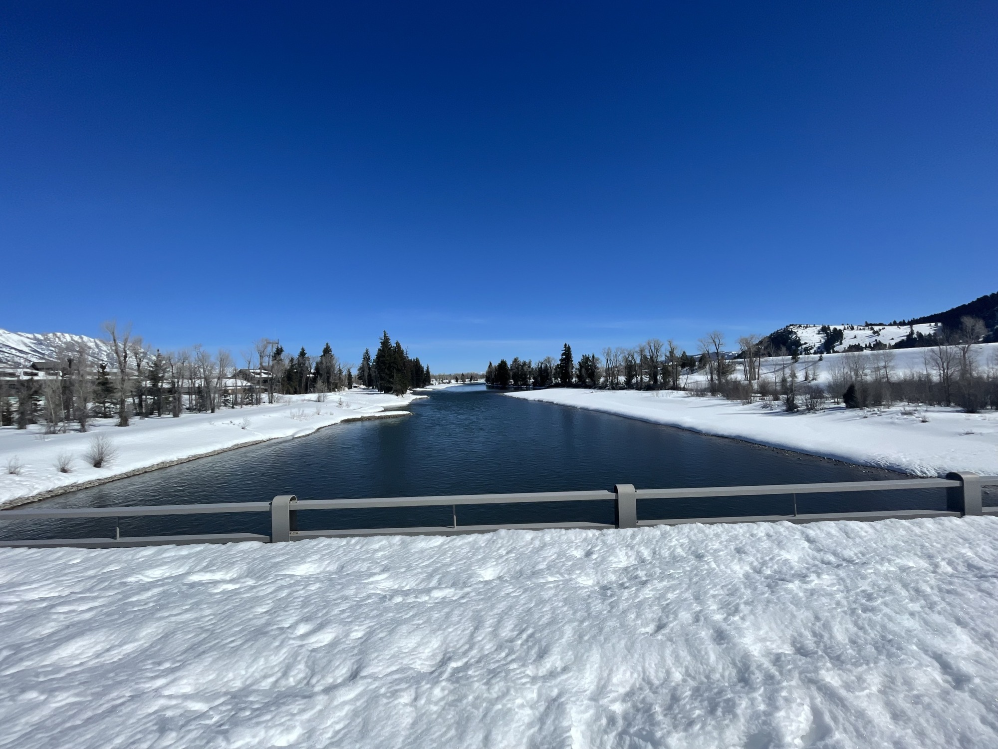 Snake River at Moose, WY looking upstream, March 19, 2024.