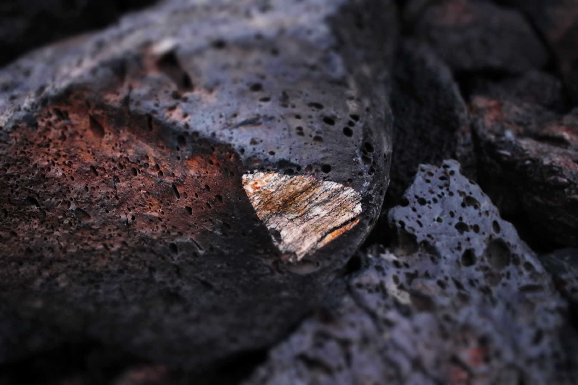a black rock with a triangular, cream colored 