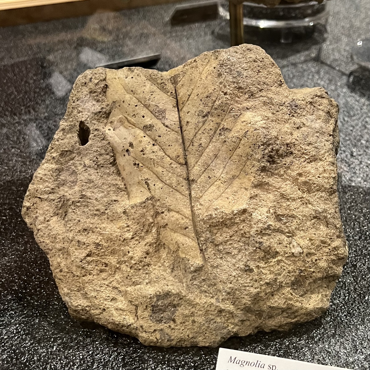 hires?