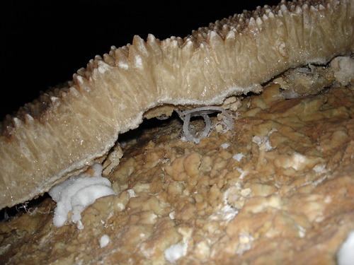 Crystal edge on brown rock