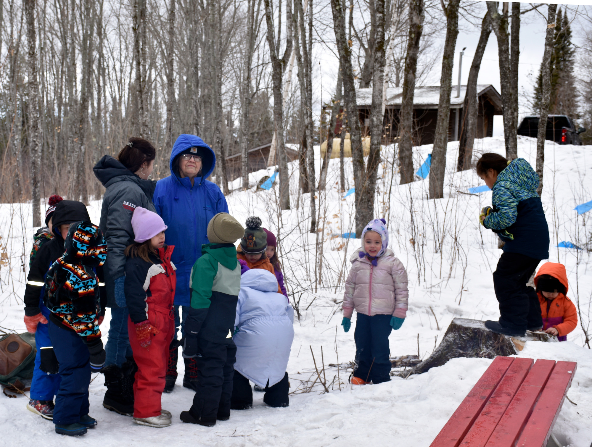 Eleven children and two adults wearing winter clothing stand in a snowy landscape with leafless trees.