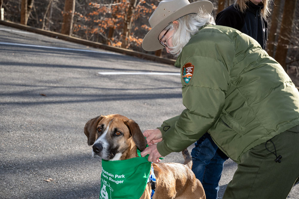 bark ranger bandana