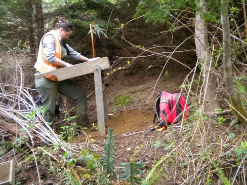 NCRI Archaeologist Beth Horton screens for artifacts in rough terrain at Lewis and Clark National Historical Park