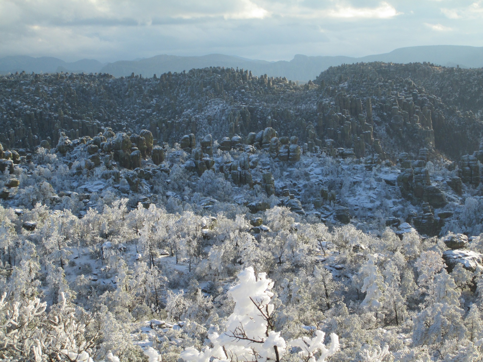 snow and blowing snow on trees at rocks