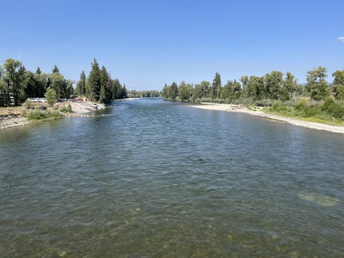 Snake River at Moose, WY looking upstream, August 11, 2024.