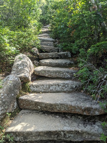Rock steps cut through the brush