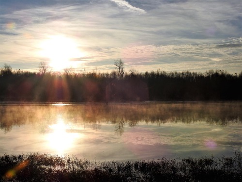 The sun setting over the tree line behind a misty pond.