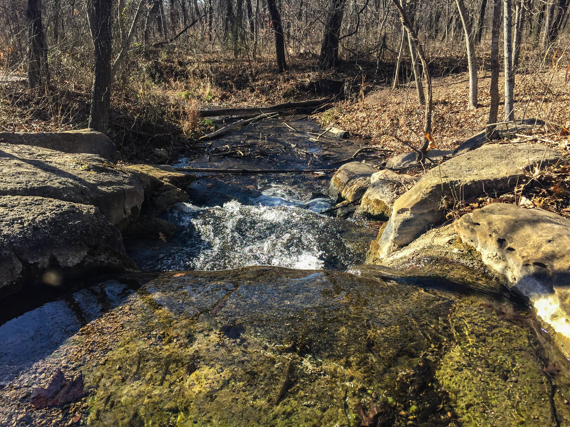 Creek running through woods bare of foliage during winter
