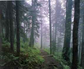 Great Smoky Mountains National Park