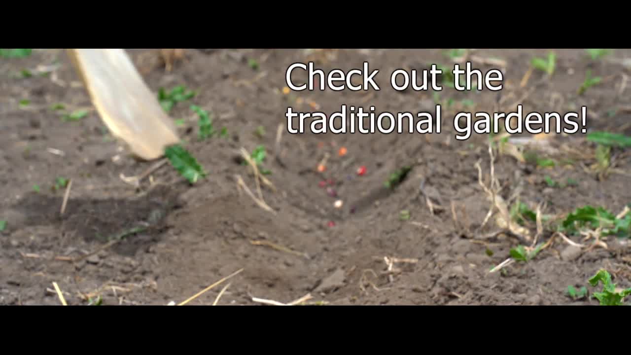 Nps Garding Example Video (U.S. National Park Service)