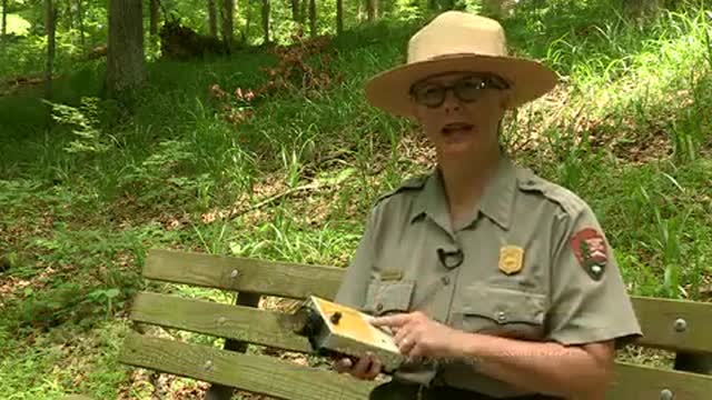 Video (U.S. National Park Service)