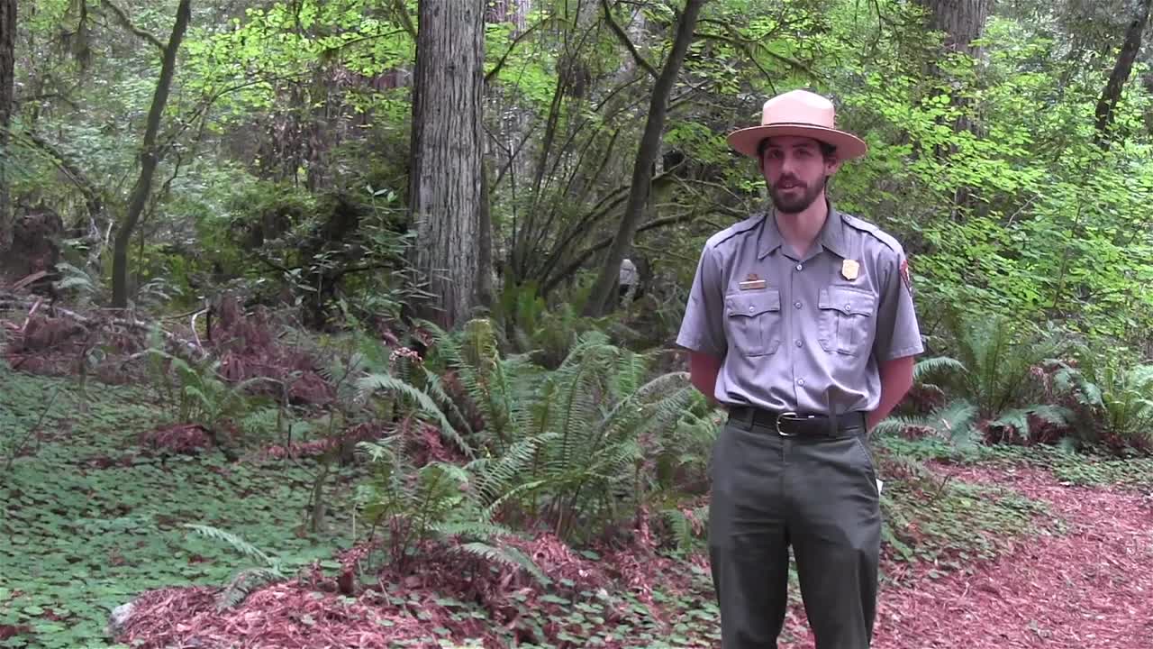 Video (U.S. National Park Service)