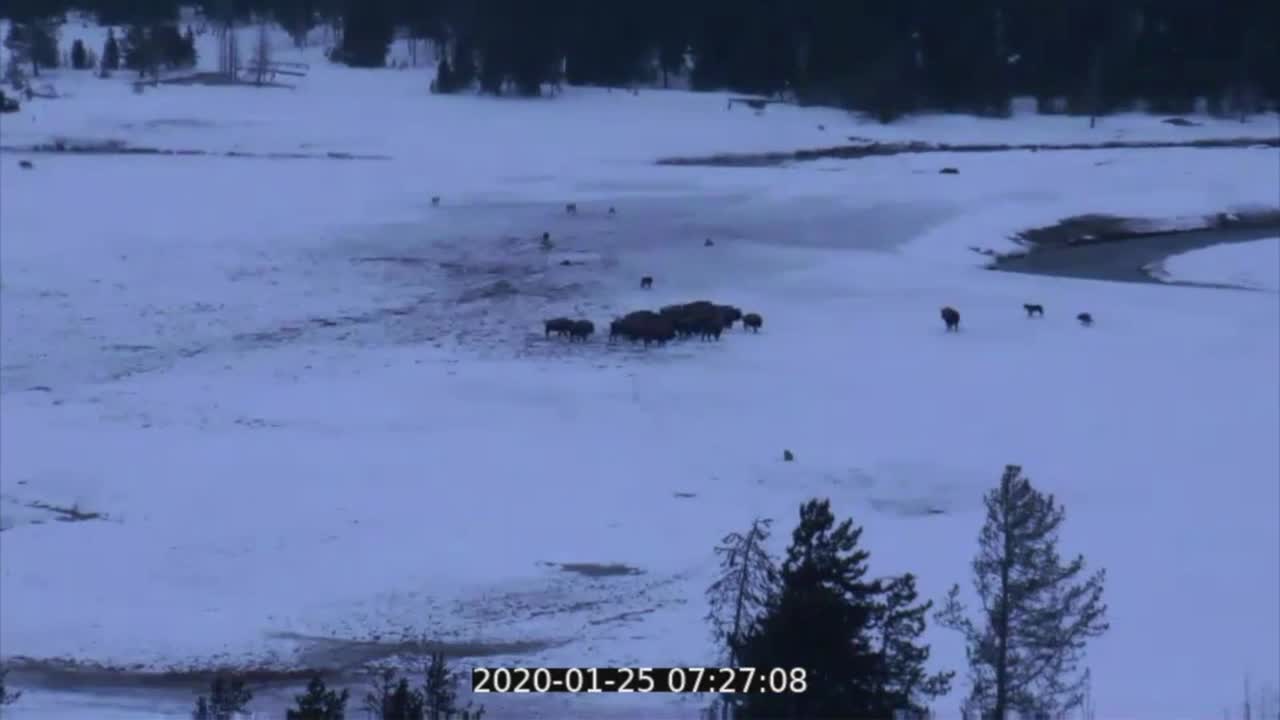 Video (U.S. National Park Service)