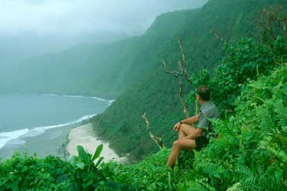 The sea cliffs of Lata Mountain on Ta'u are among the world's tallest.
