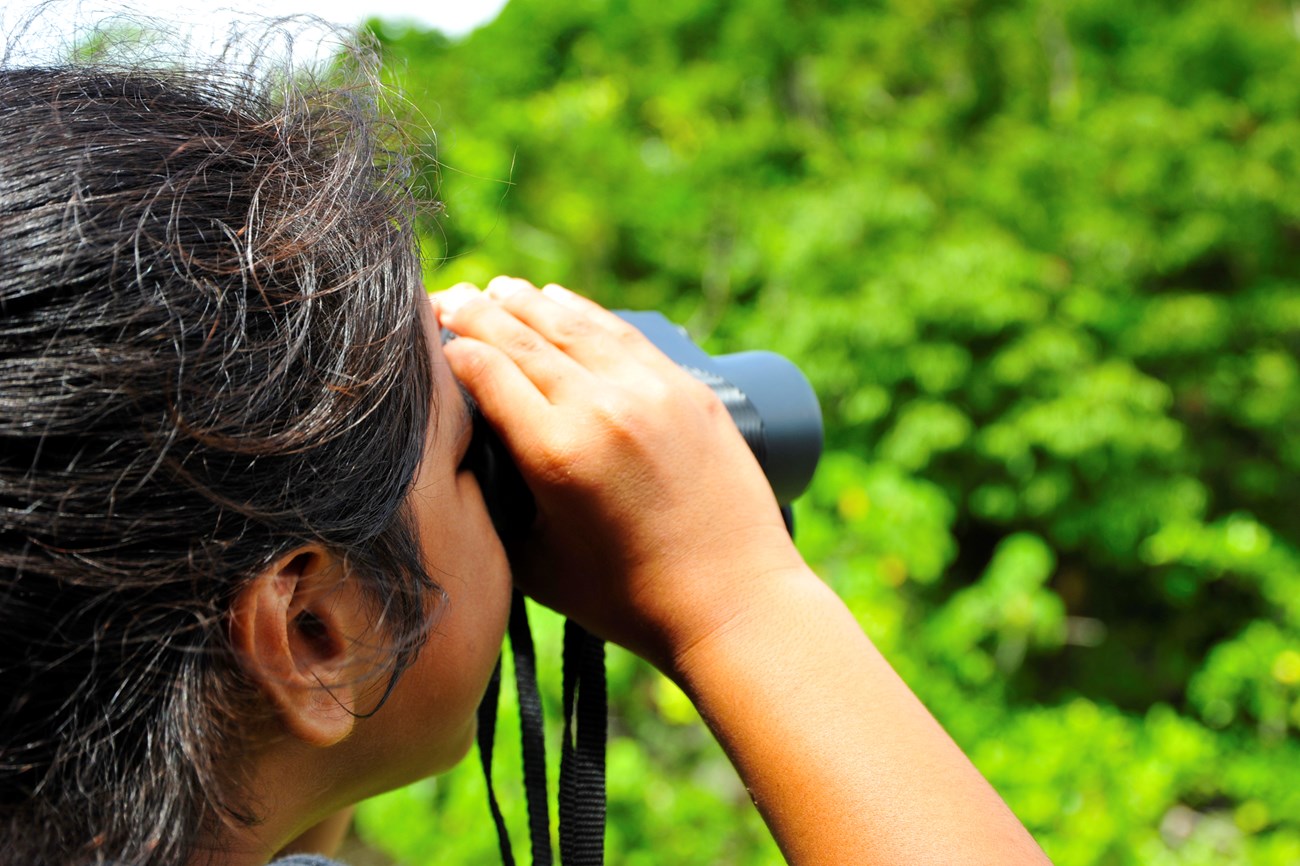 Student using binoculars