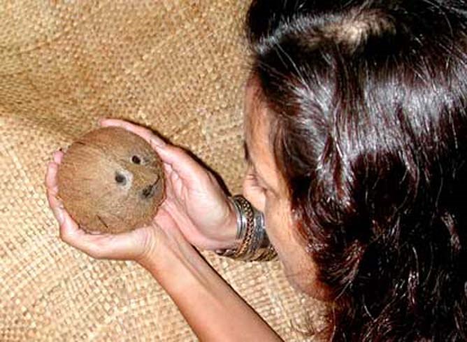 A Polynesian lady holds a coconut.