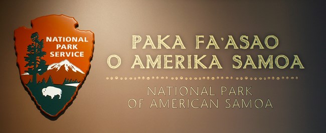 NPSA