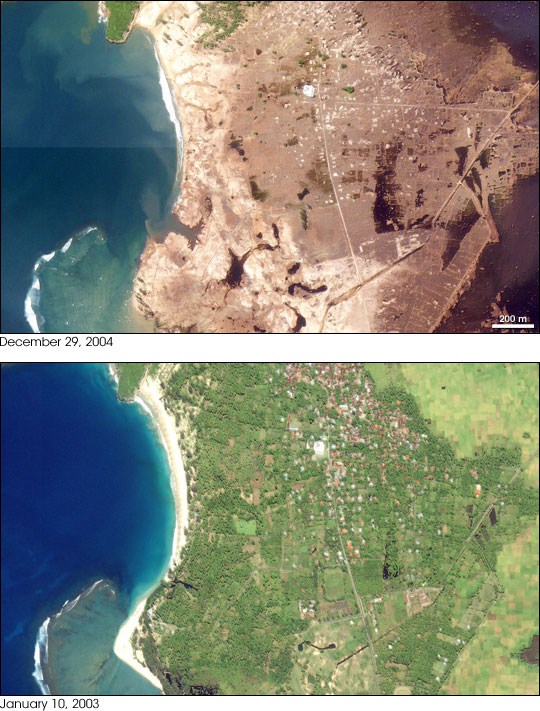 lhoknga_iko_2004364