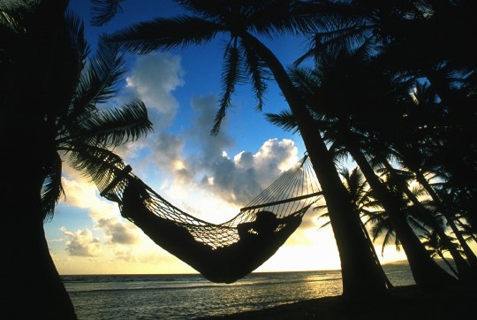 HAMMOCK