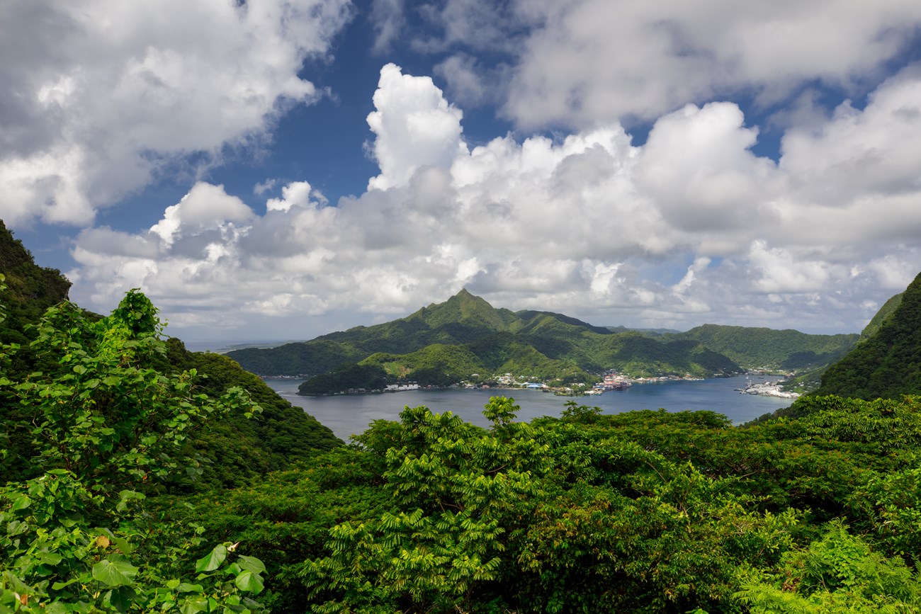 A lush green landscape of mountains and trees overlooking the bay.
