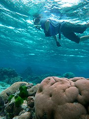 Snorkeling in Ofu_web